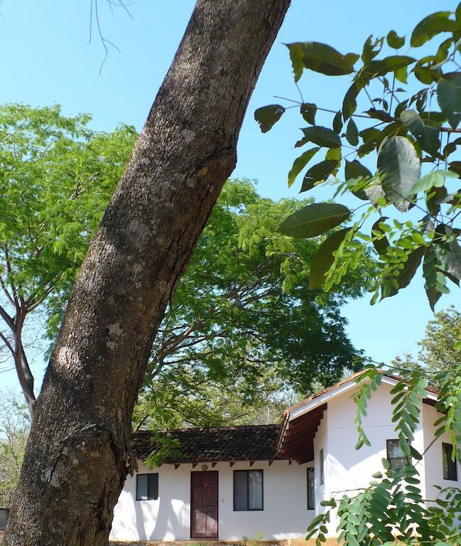 Finca Buena Fuente Residence Hotel نيكوجا المظهر الخارجي الصورة