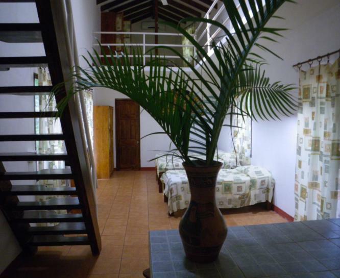 Finca Buena Fuente Residence Hotel نيكوجا المظهر الخارجي الصورة